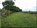 Track & path south of Dog Kennel Lane in B90 4DA