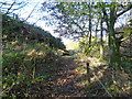 Footpath, Thurston Clough in OL3 5RL