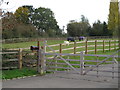 Paddock with Horses, near Blind Lane, West Hanningfield in CM2 8UF