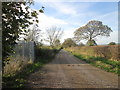 Grove Road towards Tapton Grove in S43 1PF