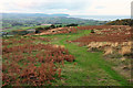 Paths on Weacombe Hill in TA4 4EB