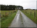 Fence-lined track that leads to Woodside in AB54 6AE