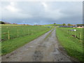 Fence-lined track to West Cranloch in AB54 6EY