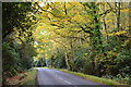 Road through woodland near Hain Hill in BH23 8EX