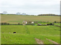 Ruins of Black Down Barn in DT2 9HX