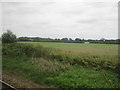 Fields north of Salhouse Station in NR13 6EX
