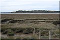 View across salt marsh and the Colne estuary in CO7 8BE