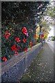Poppies by the High Road in RM16 5UF