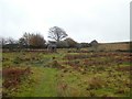 Marshy moorland around the Caratacus Stone in TA22 9QA
