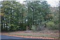 Woods in Chazey Heath in RG4 9EP