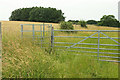 Gates on footpath, Middleton Down Nature Reserve in SP5 5HD