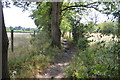 Footpath, Great Hill in RG9 6HX