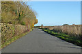 Firle Road towards Ripe in BN8 6NL