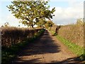 The lane to Coneygrey Farm in NG16 3RP