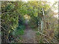 Footpath near Beauvale in NG16 3RP