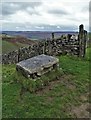 "Ruby's Chair" above Rough Side in Calver & Longstone Ward