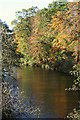 Upstream view of the River Lossie from Bow Brig' in IV30 4NE