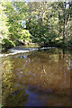 Autumn reflections on a weir on the River Lossie in IV30 4NE