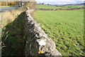 Wall on south side of A65 west of a wall junction in BD23 1GH