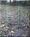 Giat fochyn ger Plas Farm / Kissing gate near Plas Farm in LL22 8NA