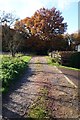 Access track in front of some houses in TN3 0LE