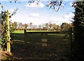 Gate into the soccer practice field in NR13 5RL