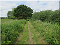 Weavers' Way following old railway line in NR12 9AA