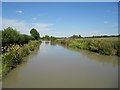 Oxford Canal: Reach near Napton on the Hill in CV47 8NQ
