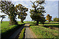 Minor road towards Hanworth in Alby with Thwaite
