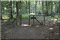 Footpath in the woods in RG9 4RX