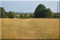 Footpath crossing field in RG9 4QH