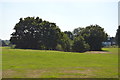 Bushes, Hampermill playing Field in WD19 7PP