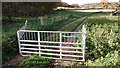 Sheep Gate across the track in TN3 0LE