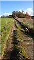 Farm track towards Scriventon in TN3 0LE