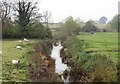 Bedale Beck from Leeming Bridge in DL7 9ST
