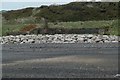 Braystones Beach Hut in CA21 2YH