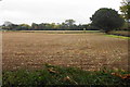 Farmland by Hipsley Lane in CV9 2HR
