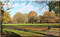 Autumn in Warrender Park in HA4 8QJ