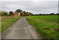 Stubb  Road, east of Hickling in NR12 0BW