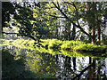 River Cam in autumn, Trumpington, Cambs in CB2 9FX