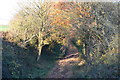 Track of disused railway, Old Burghclere in RG20 9NR