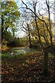 Pond By The Three Forests Way in CM5 9PZ