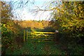 The Gate to the Twentyacre Wood in CM5 9PZ