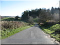 The lane from Gatehouse of Fleet to Laurieston in DG7 2PW