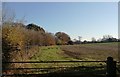 Fields near Send Barn in GU23 7HT
