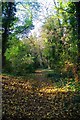 Path Through Watt's Wood in RM19 1SG