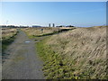 Path junction on Wildflower Walk, RSPB Saltholme in TS2 1TB