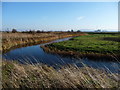 Holme Fleet, RSPB Saltholme in TS2 1TB