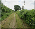 Weavers' Way following old railway line in NR12 9ES