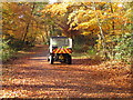 Burnham Beeches ranger on quad bike on autumn leaves in SL2 3EN